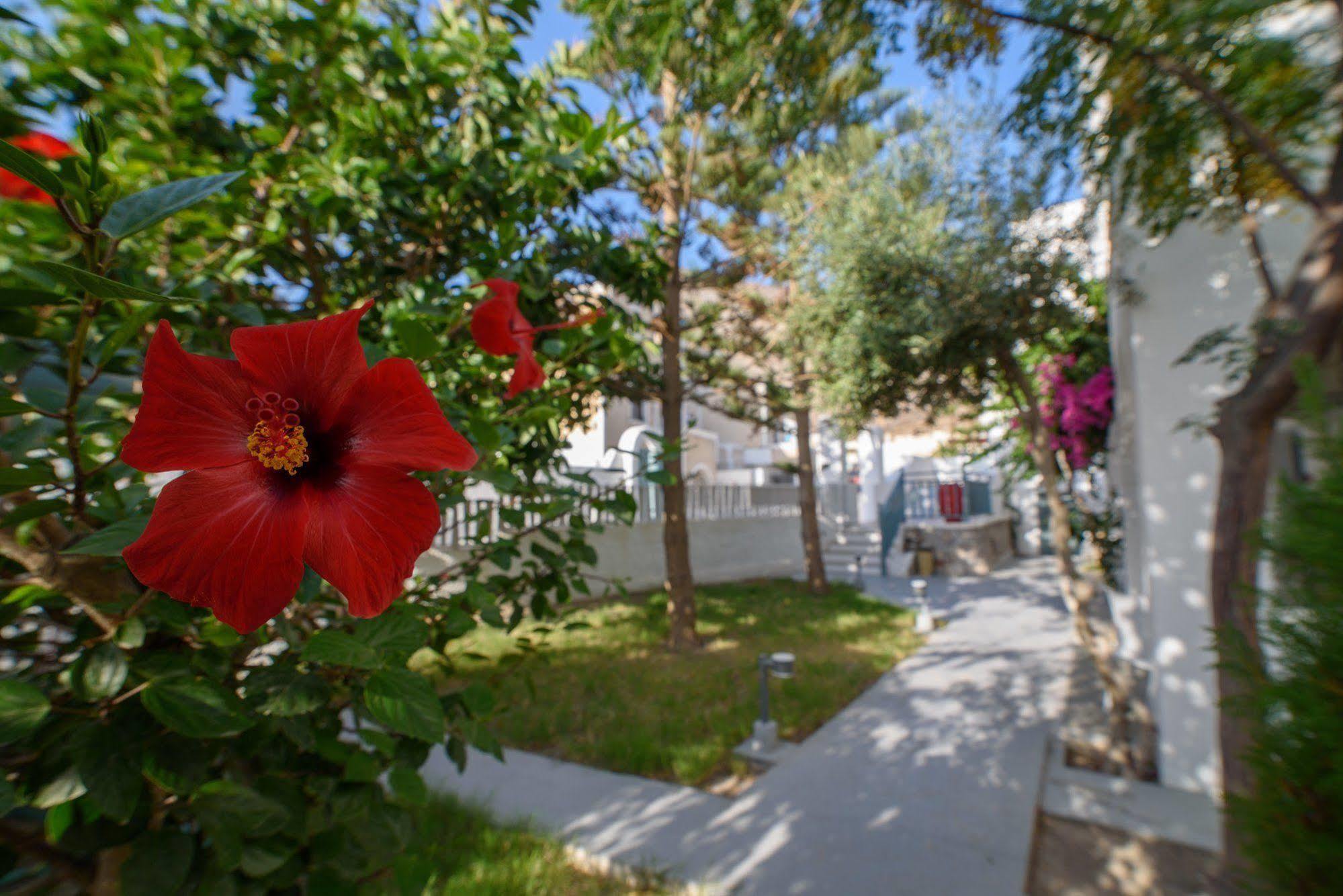 Iris Boutique Hotel Kamári Exteriör bild